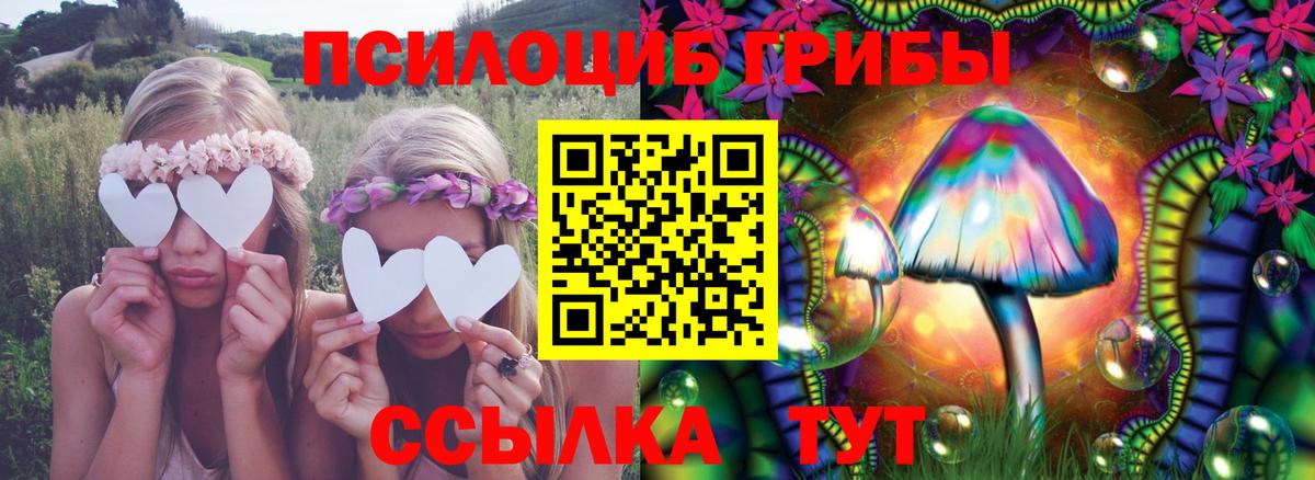 Лабинск  Псилоцибиновые грибы MAGIC MUSHROOMS  Галлюциногенные грибы ЛСД  Вход с VPN 